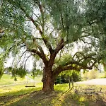 Olive Ranch By Avantstay
