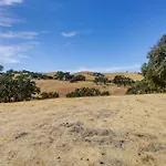 Paso Robles Gem With On-Site Vineyard Pets Welcome!