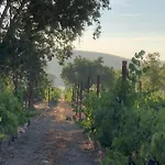 Sundance Bed And Breakfast