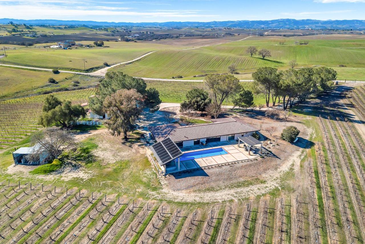 Devi Vineyard Delight