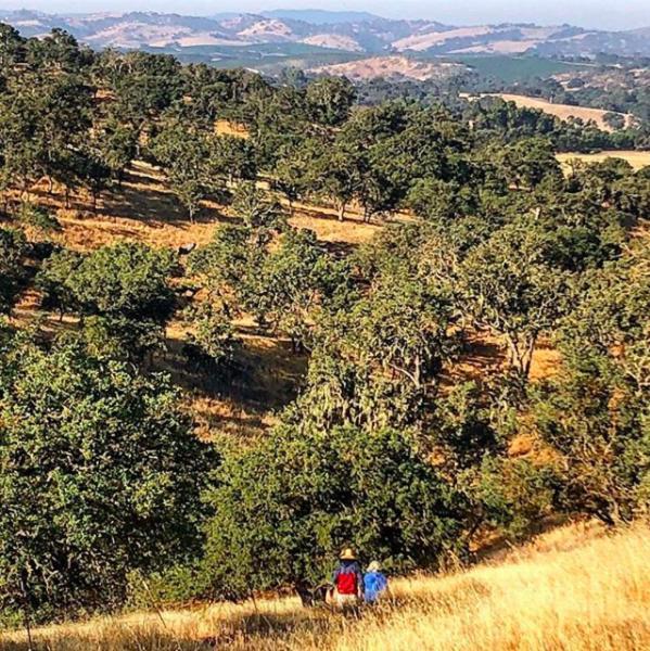 Windwood Ranch