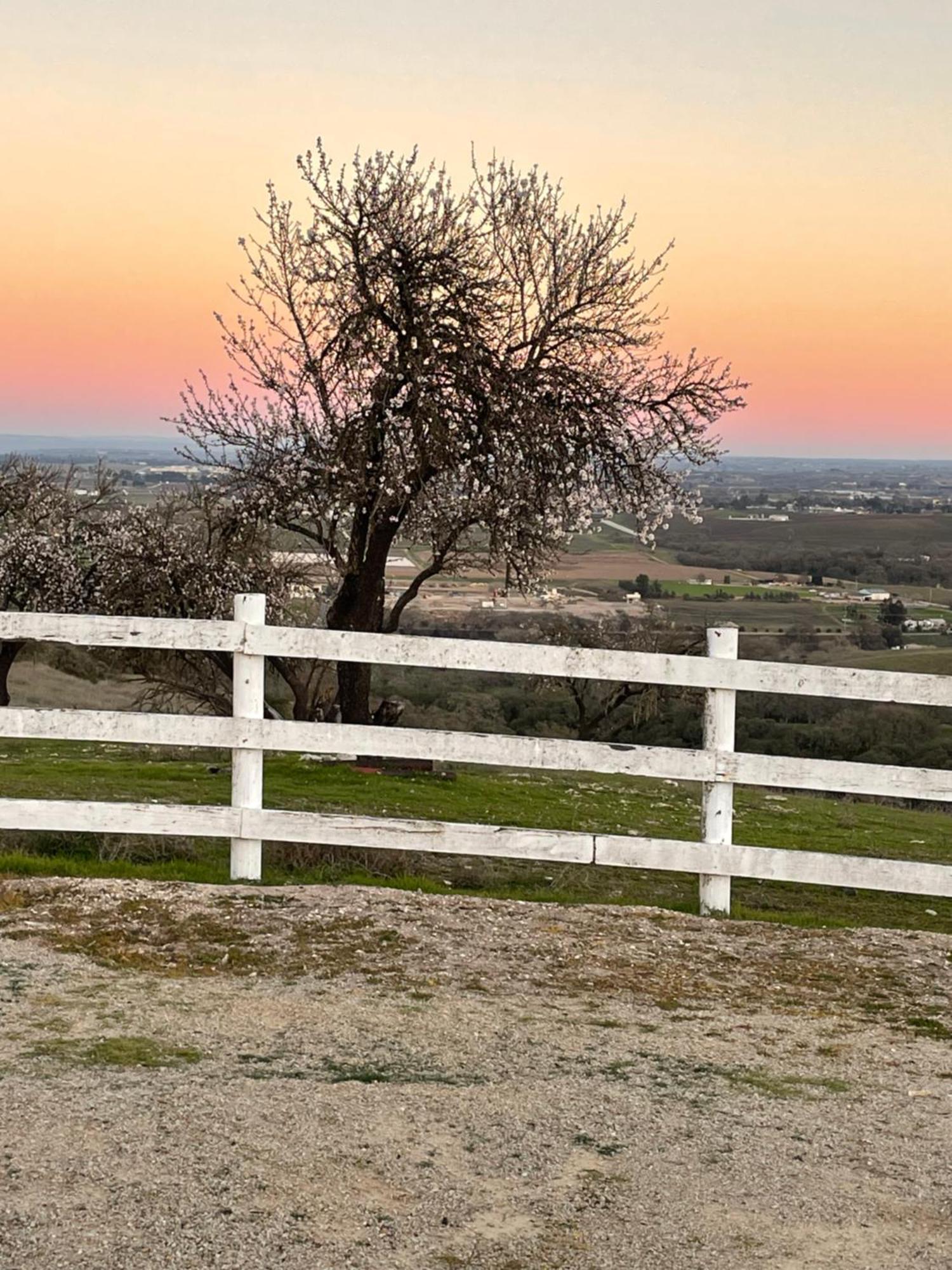 Amazing Views! 6br Wine Country & Farm Experience! * Paso Robles