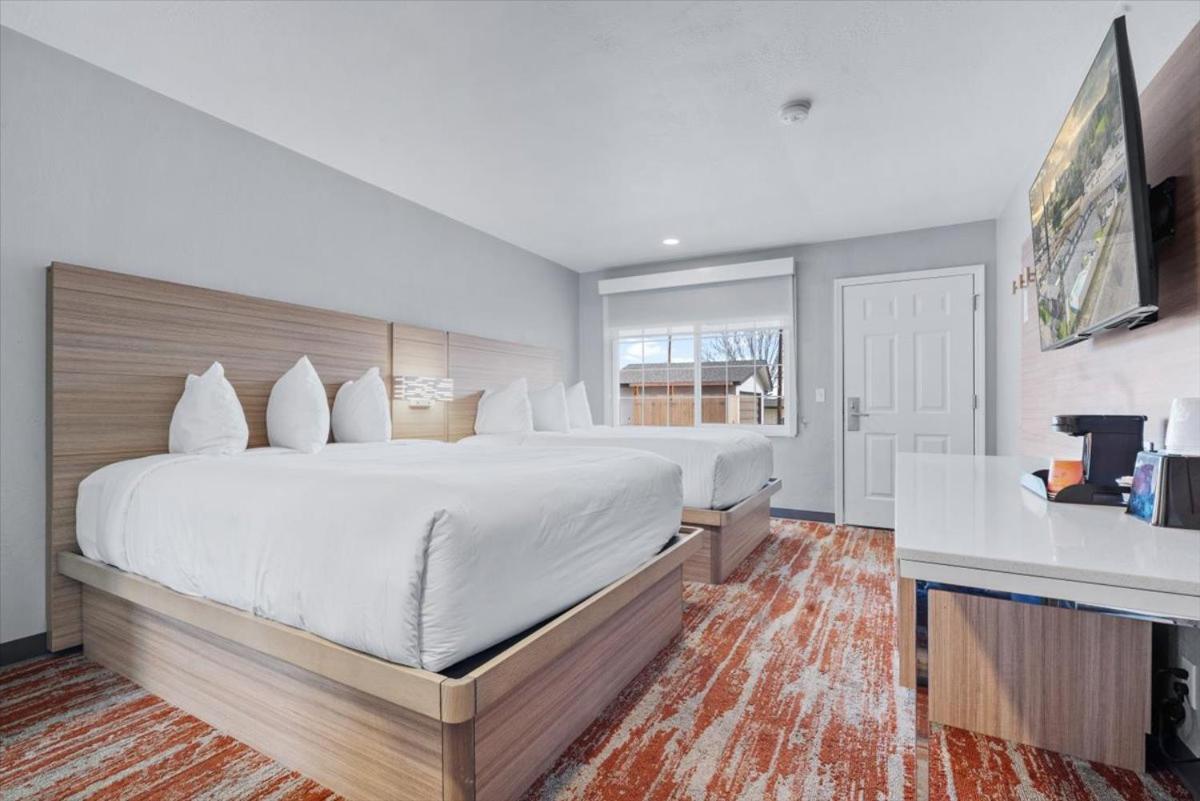 Cielo House -