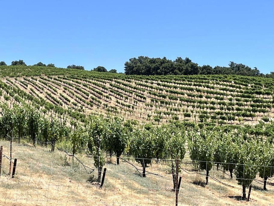 In The Oaks! Private Spa! Outdoor Shower * Paso Robles