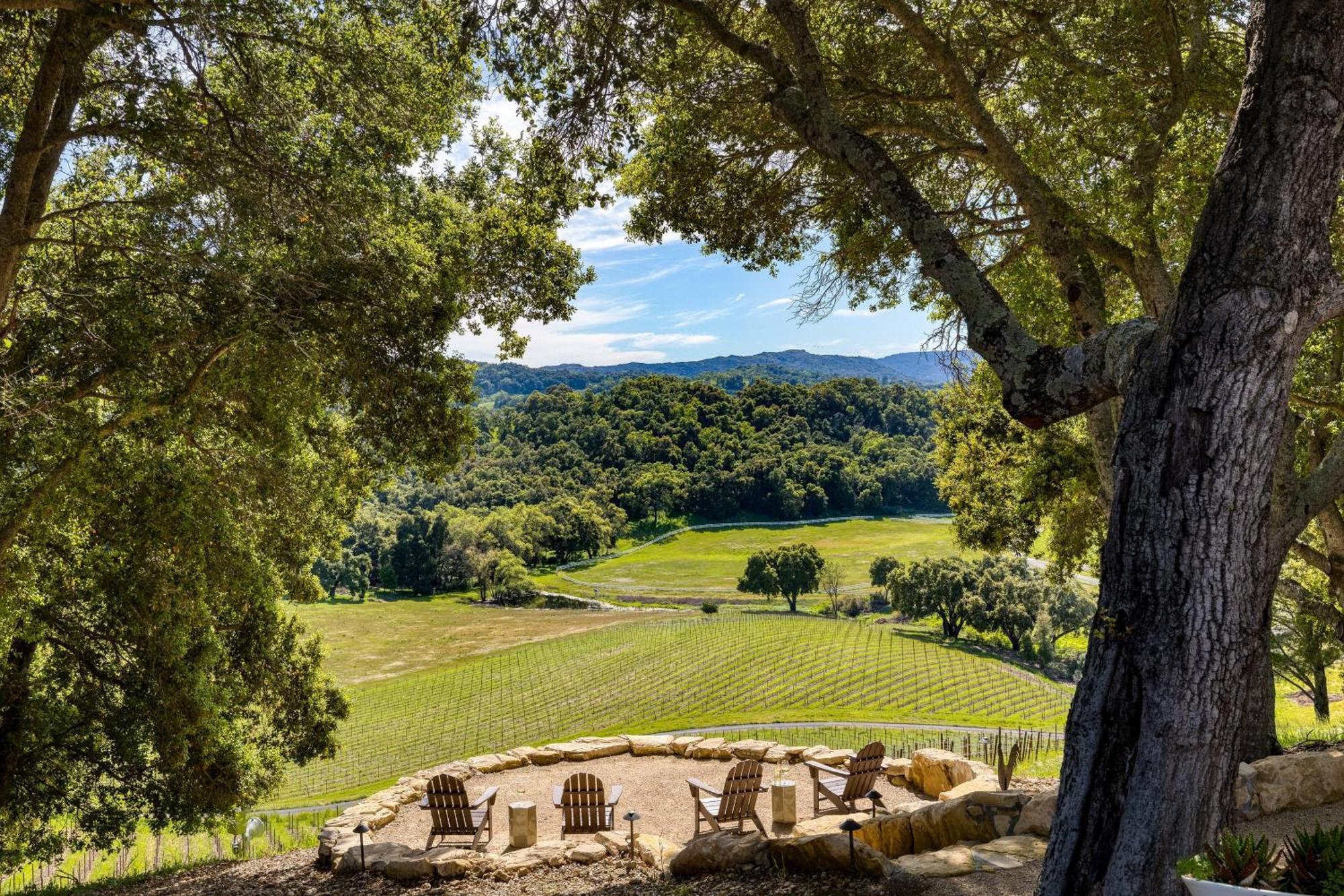 Rancho Robles By Avantstay Vineyard W Views Pool Privacy Villa *