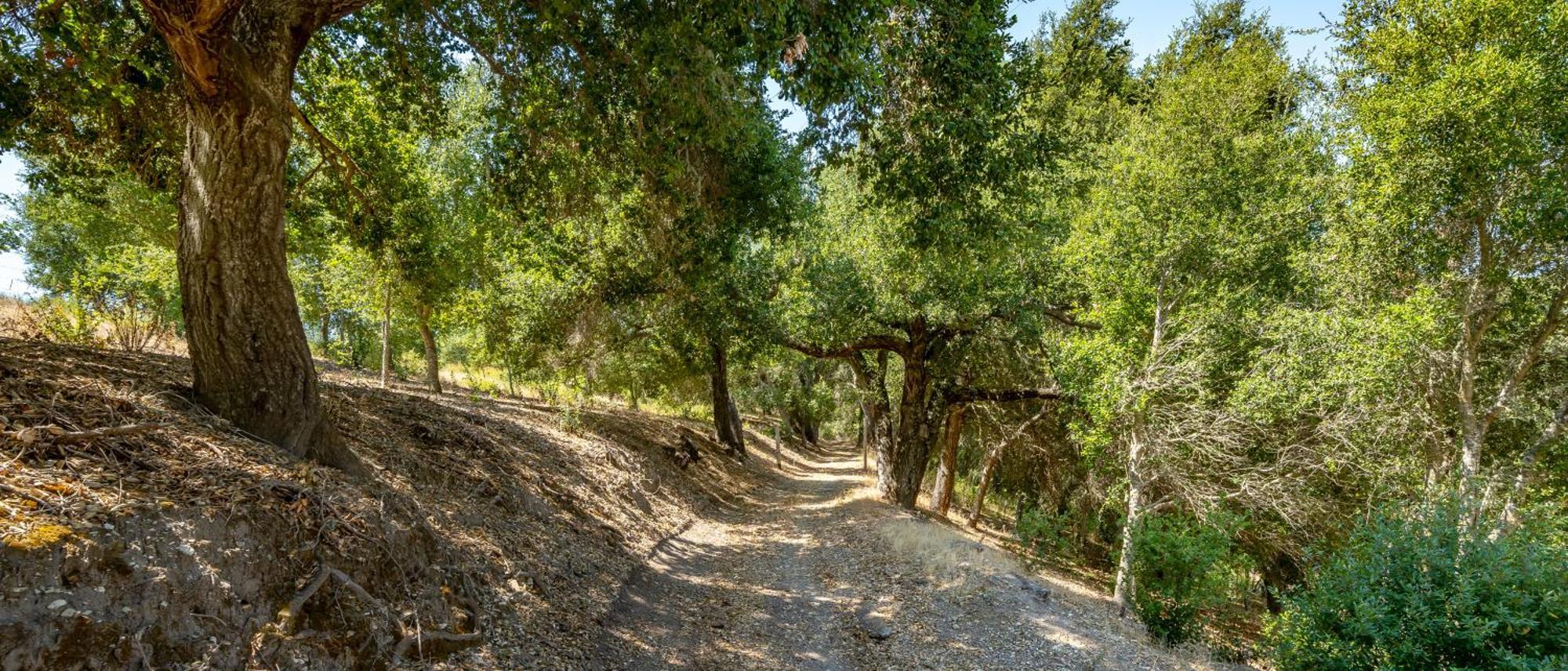 Le Coop At Farm Blanc Et Rouge * Paso Robles