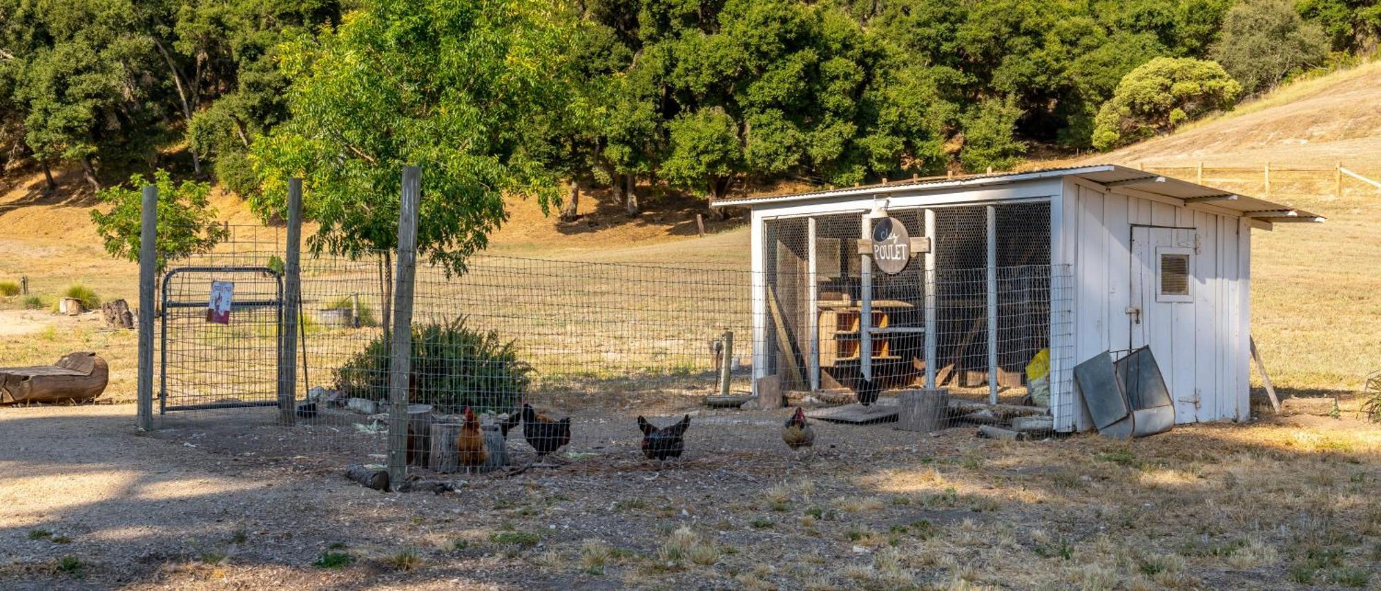 Le Coop At Farm Blanc Et Rouge Guest house *