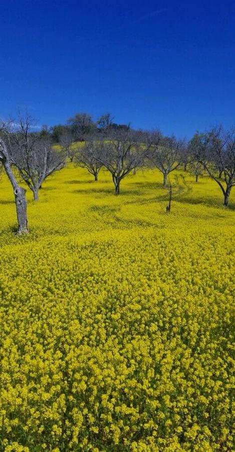 Sea Stone Ridge Paso Robles