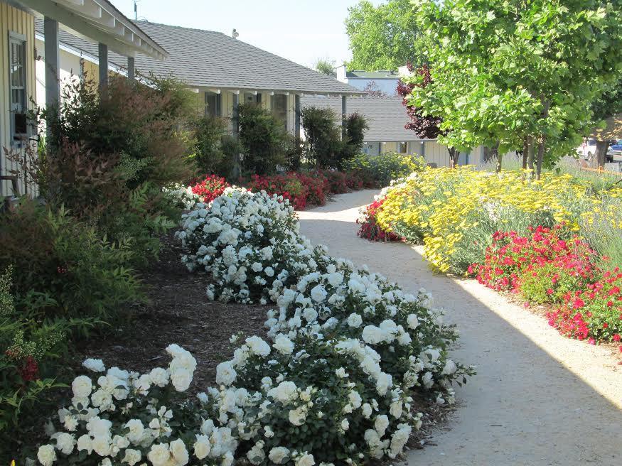Farmhouse Motel Paso Robles