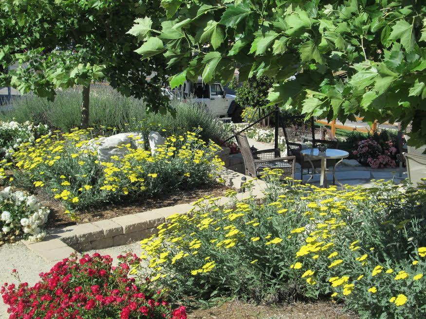 Farmhouse Motel 3* Paso Robles