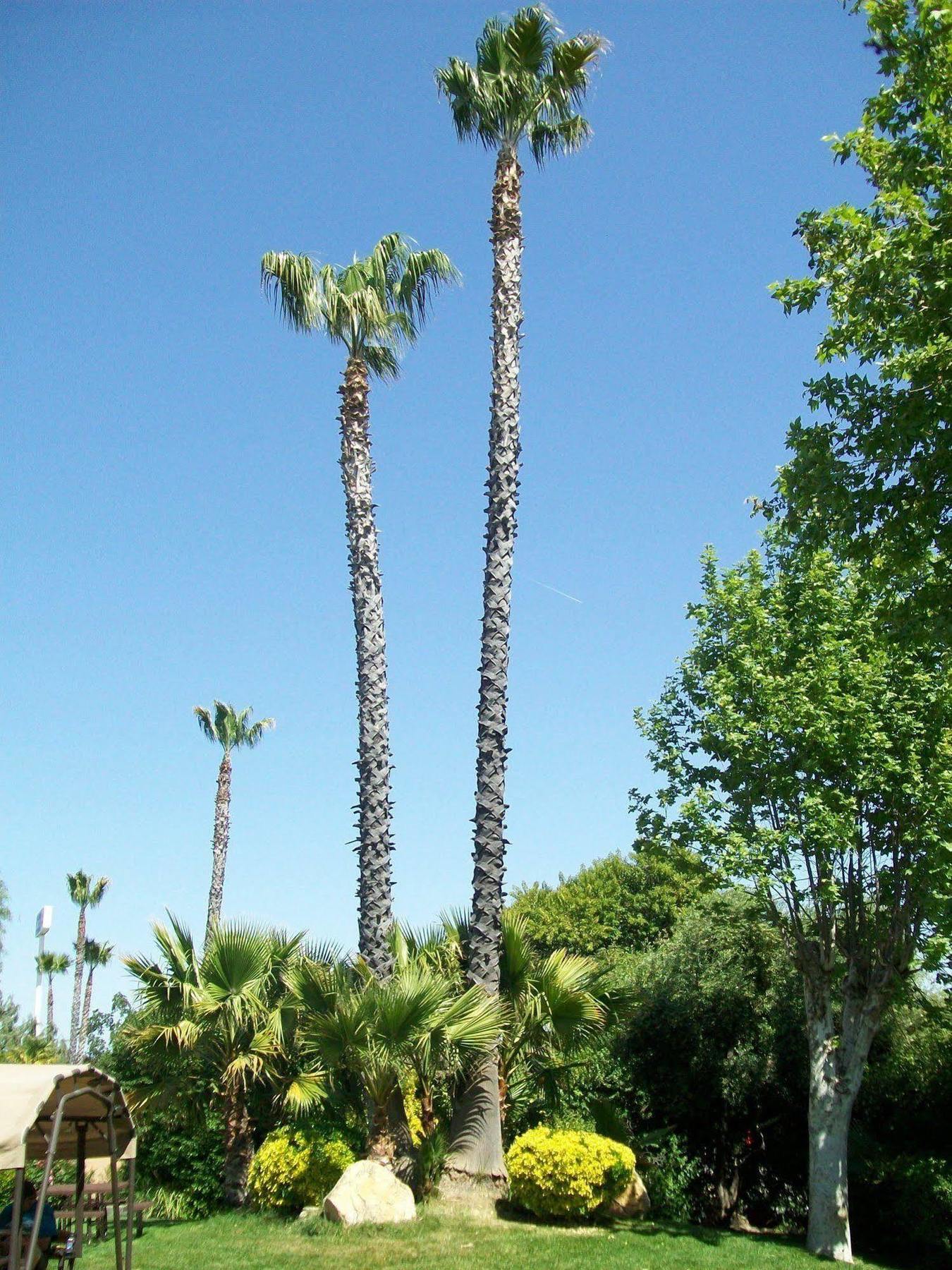 Adelaide Paso Robles