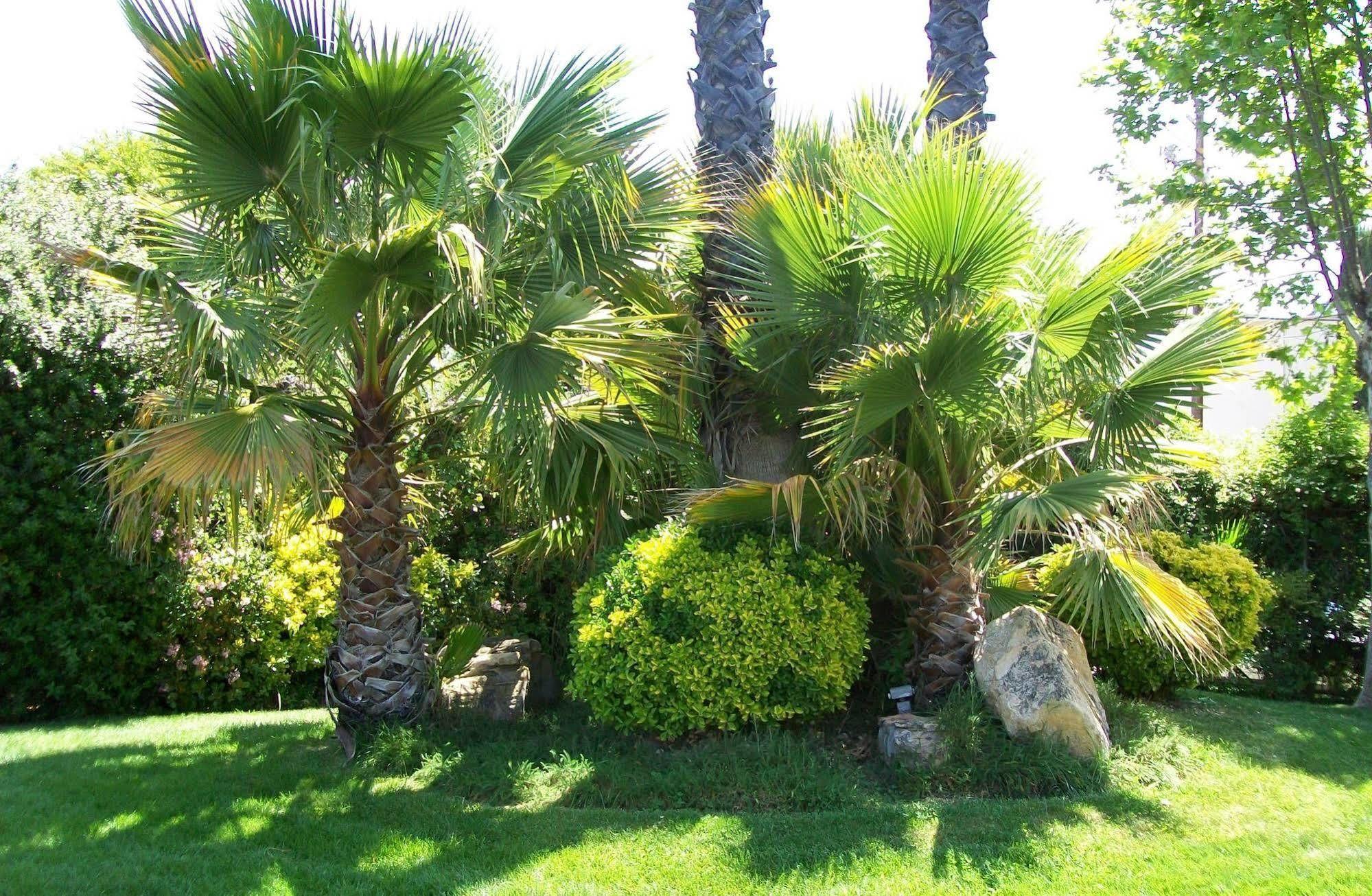 Hotel Adelaide Paso Robles