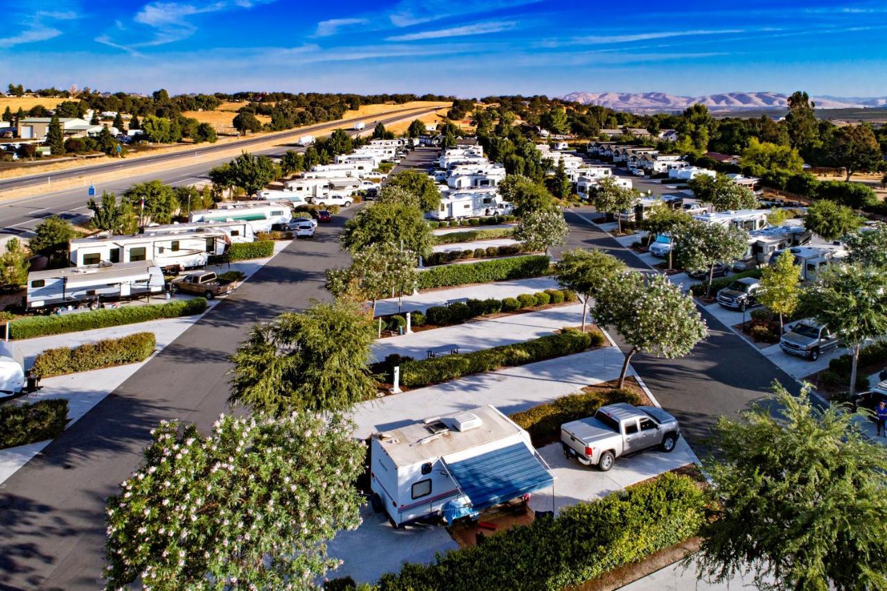 Vines Rv 2*