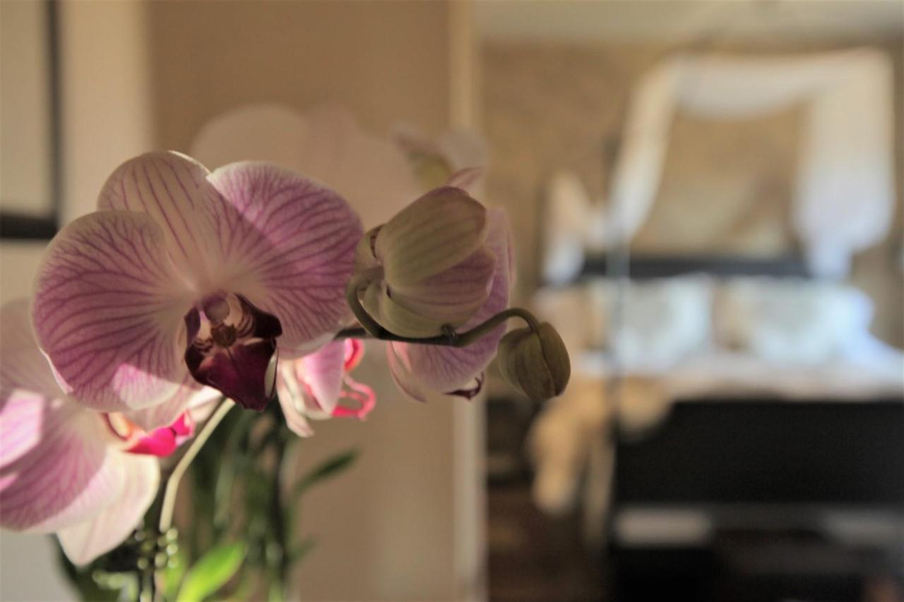 Sundance Bed & Breakfast Creston