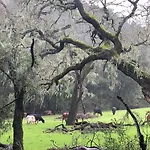Creekside Inn Of Paso Robles