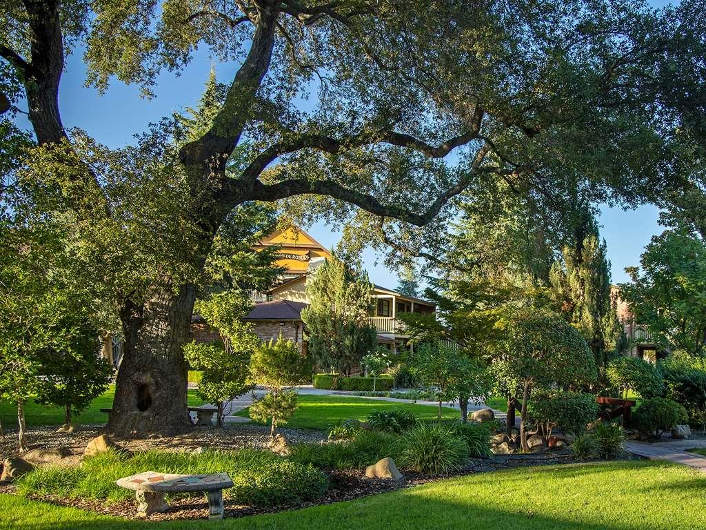 Paso Robles Inn