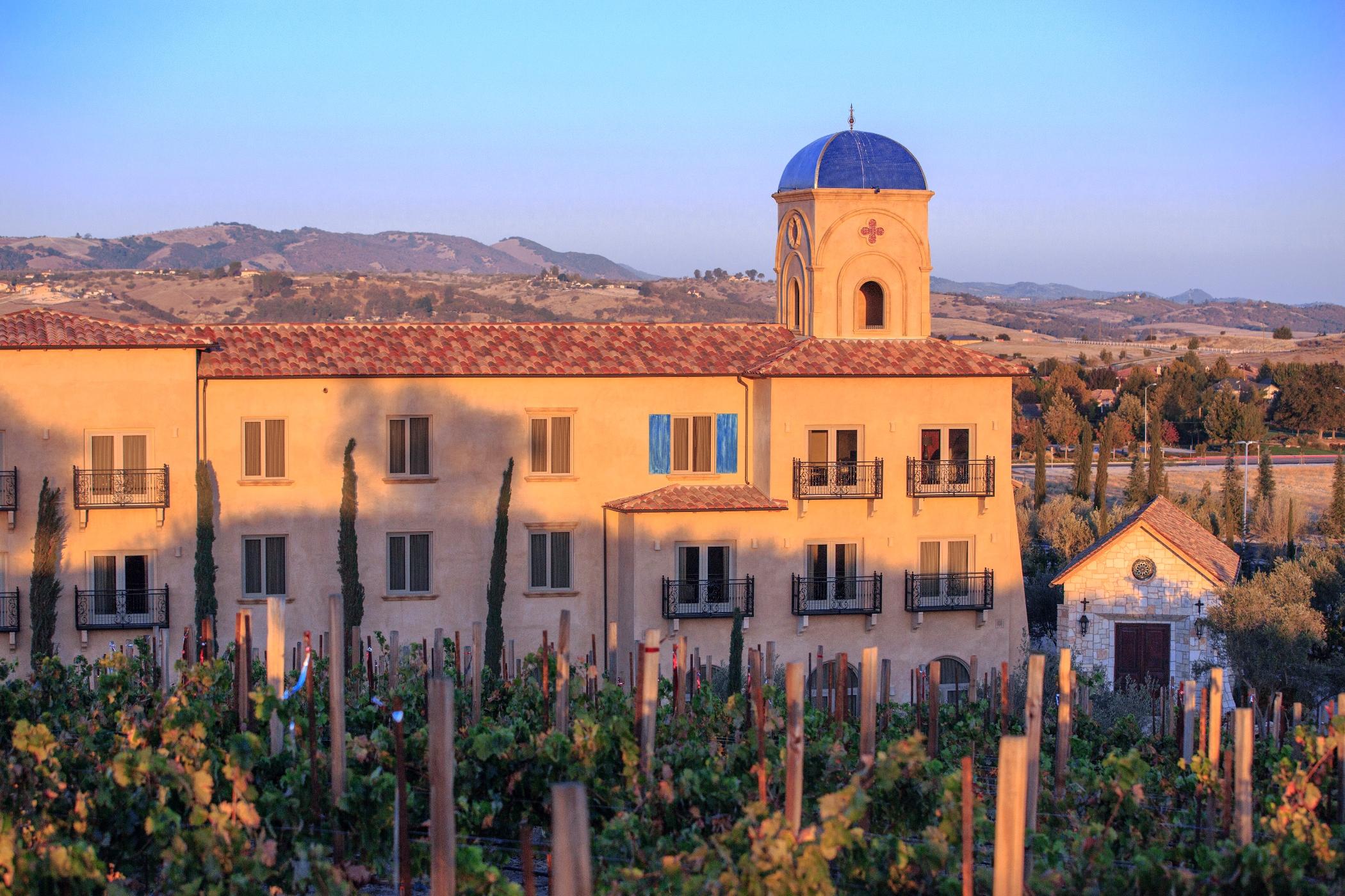 Allegretto Vineyard