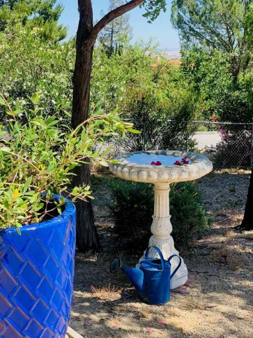 Hilltop 1 Bed/1 Bath Close To Downtown Paso * Paso Robles
