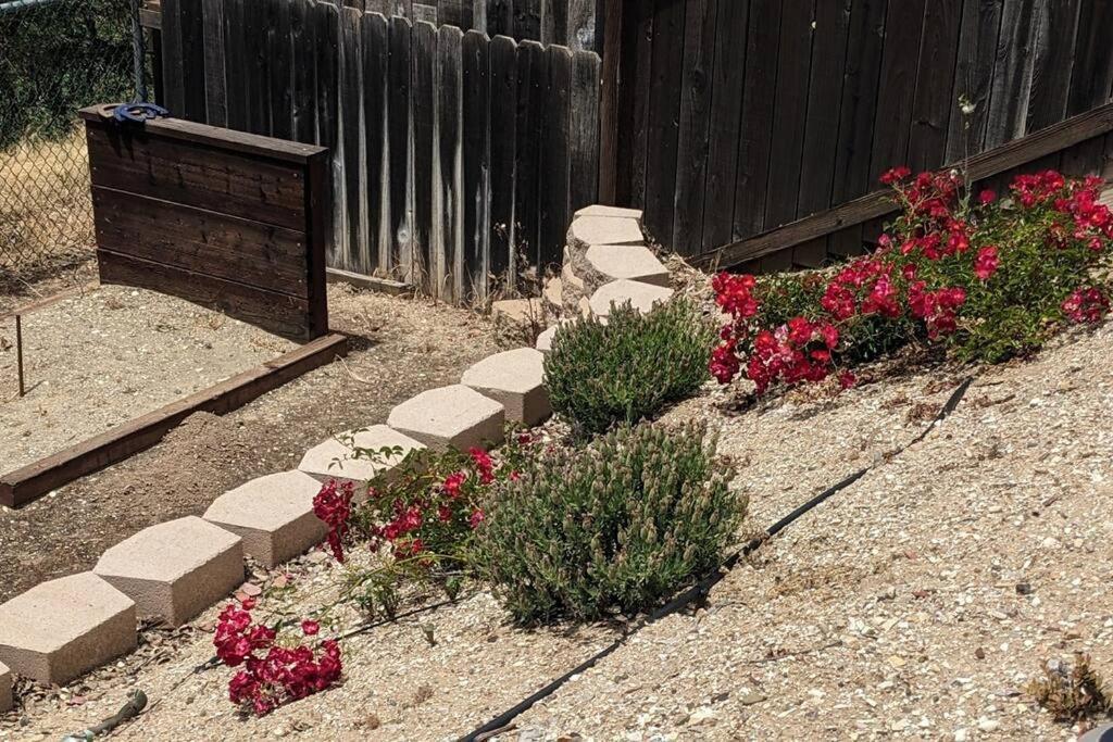 Manzanita Manor-whimsical Art & Near Downtown * Paso Robles