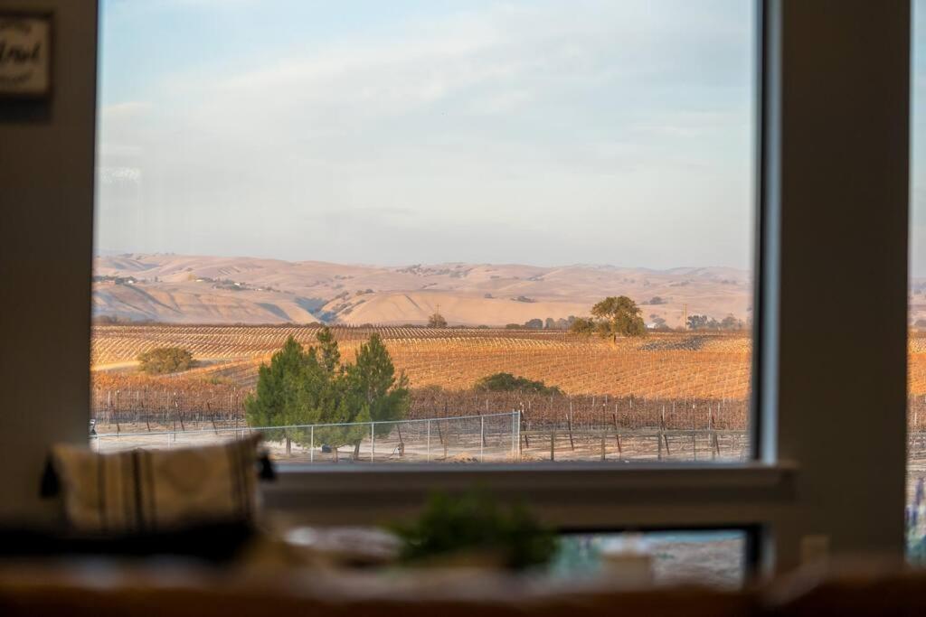The Vino View *