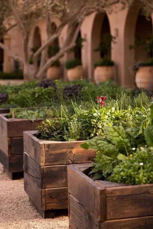 Allegretto Vineyard 4* Paso Robles