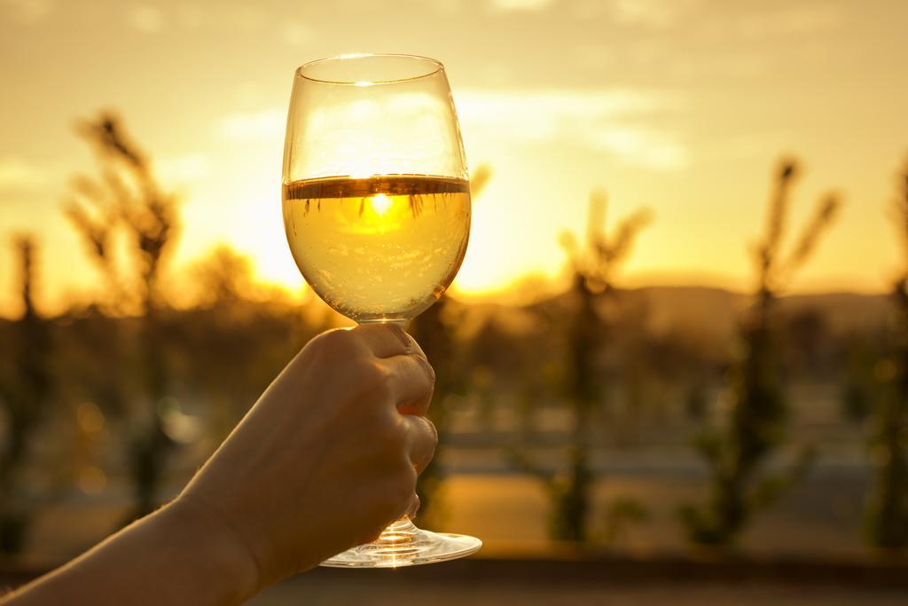 Allegretto Vineyard