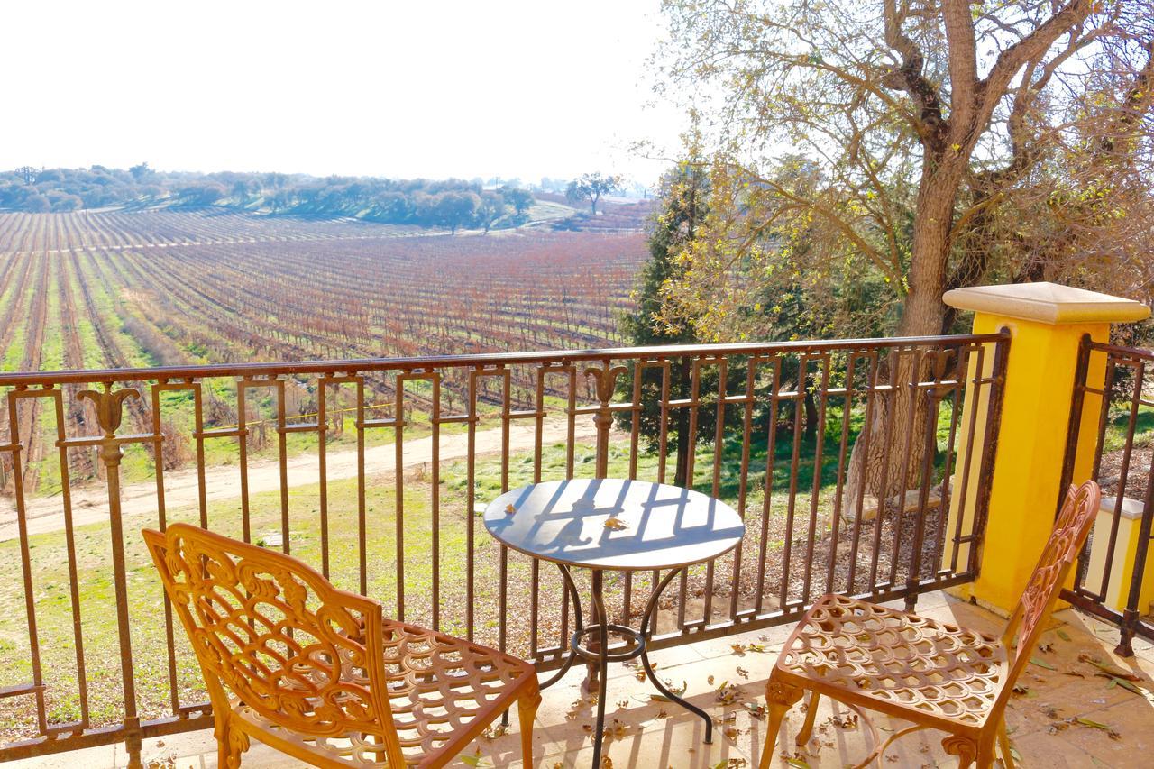 Calipaso Winery & Paso Robles