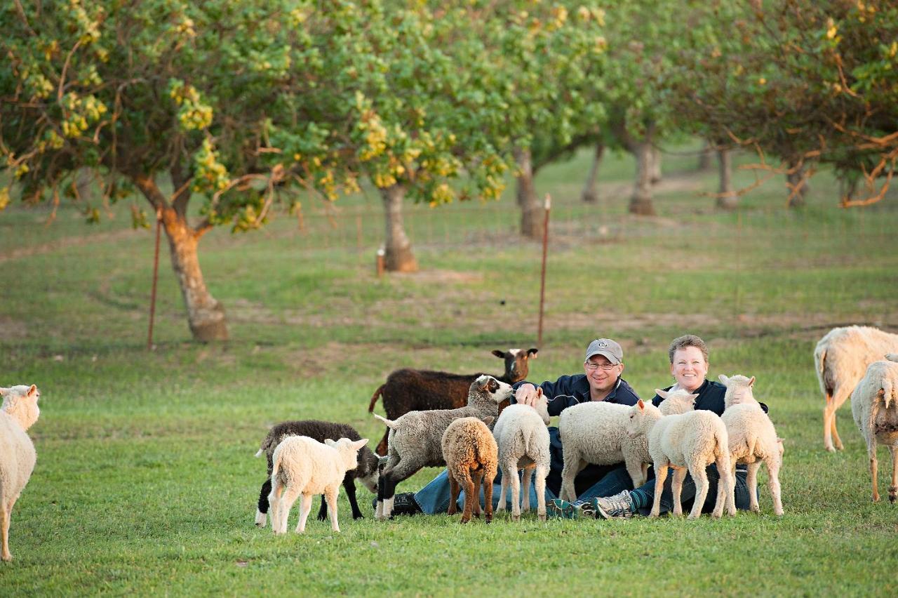 Reves De Moutons Inn Paso Robles