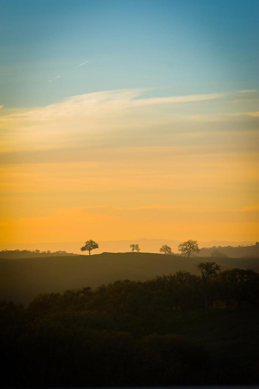 Inn Reves De Moutons Paso Robles