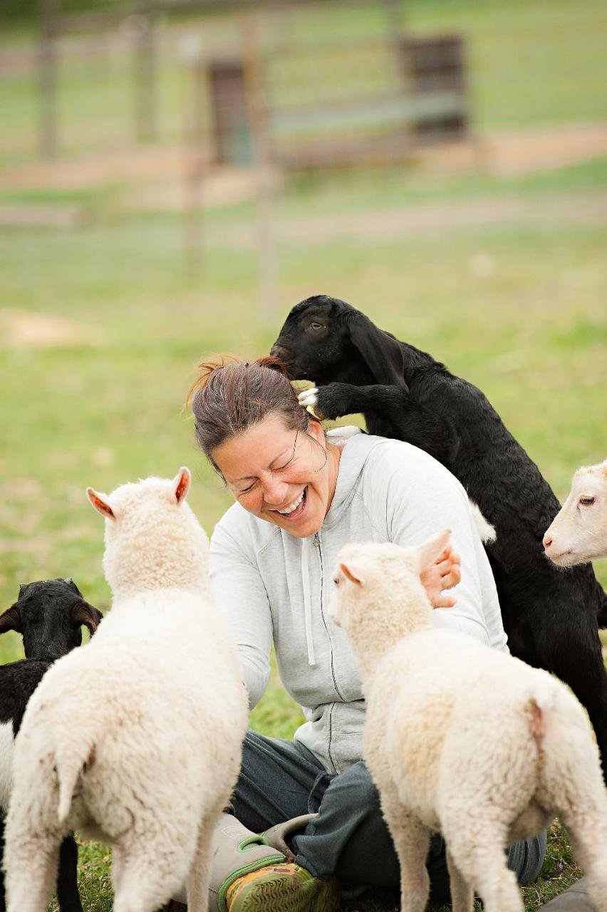 Reves De Moutons * Paso Robles